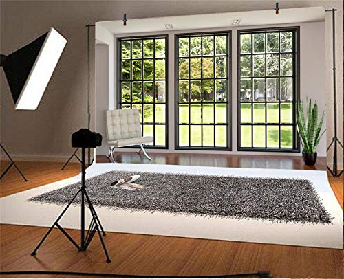 AOFOTO 5x3ft Business Office French Sash Window Backdrop Living Room Sofa Plant Photography Background Interior Casement Work at Home Modern Flat Furniture Apartment Decoration Residence Villa Props - size: 5x3ft