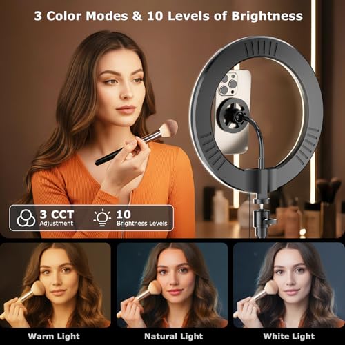 Desk Ring Light with Magnetic Phone Stand for Zoom Meetings, Ring Lights for Video Recording, 10" Laptop Light for Video Conferencing, Home Office, Streaming, YouTube, Webcam, Camera