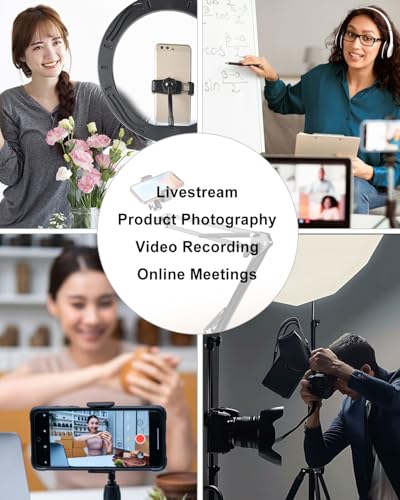 Overhead Phone Mount with Adjustable Arm and Desk Clamp, Camera Desk Mount Fit for DSLR iPhone Webcam Ring Light, Phone Holder Fit for YouTube TikTok Photography Video Recording