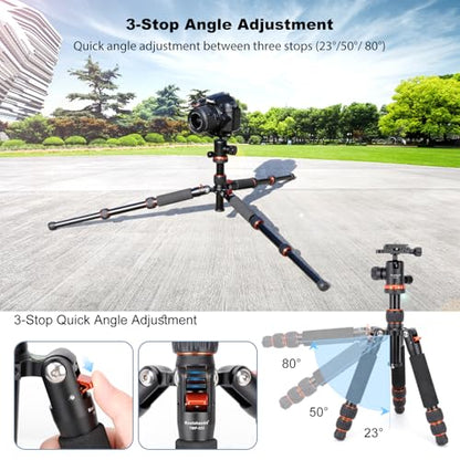 Koolehaoda Mini Tabletop Tripod with 360° Ball Head, Aluminum Portable | Compact Lightweight Desktop Camera Tripod Stand with Quick Release Plate, Adjustable Height for DSLR Video Camcorder Phone