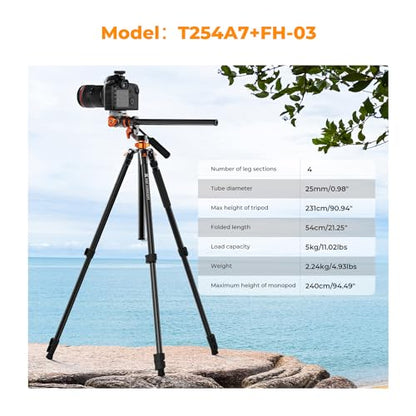 K&F CONCEPT 90''/230cm Overhead Camera Tripod, Horizontal Shooting Video Tripods with Fluid Head Heavy Duty, Detachable Monopod, for Indoor and Outdoor Use T254A7+FH-03 - size: T254A7+FH-03