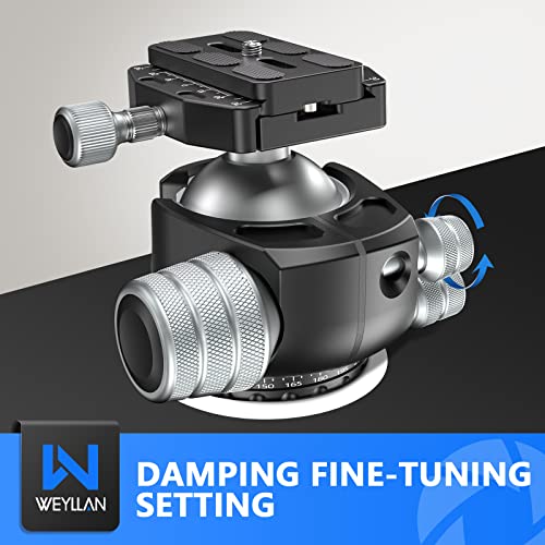 Low Profile Ball Head 55mm Tripod Ball Head Panoramic Tripod Head, CNC All Metal Tripod Camera Head for Tripods, WEYLLAN CH55 with Mlok Rail Arca Swiss Quick Release Plate, Max Load 88lbs/40kg - size: 55mm