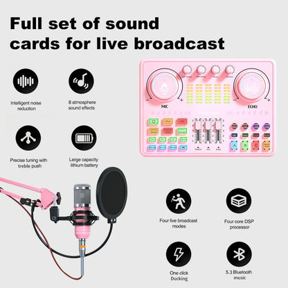 Podcast Equipment Bundle: Audio Interface & DJ20 Mixer with XLR Mic, Voice Changer, 2400mAh Battery for Podcasting, TikTok Live Streaming, and Gaming (Pink)