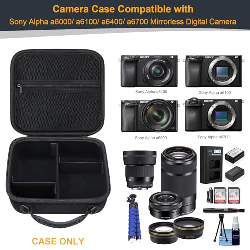 RAIALL Camera Case for Sony Alpha ZV-E10/a6000/a6100/a6400/a6600/a6700/ Sony Alpha 7 II IV/ZV-E10 II Mirrorless Digital Camera and Lens, Hard Travel Bag with a Shoulder Strap and 3 Dividers, Black - color: Black