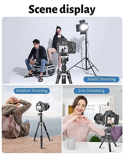 Low Profile Ball Head, CAVIX H-29S Camera Tripod Head Metal Ball Head with Arca Swiss Quick Release Plate Bubble Level Load Capacity 22 Lbs/10kg… - size: Ball Dia. 29mm