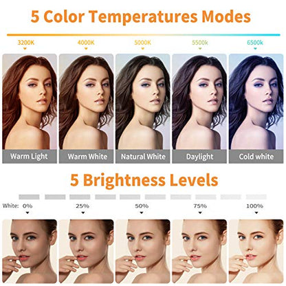 Video Conference Lighting Kit, Ring Light Clip on Laptop Monitor with 5 Dimmable Color & 5 Brightness Level for Webcam Lighting/Zoom Lighting/Remote Working/Self Broadcasting and Live Streaming, etc.
