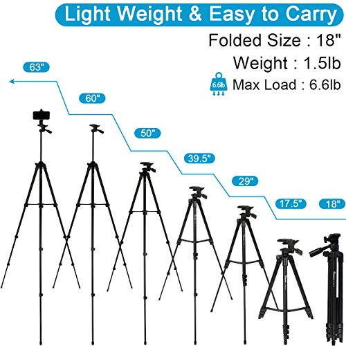 Endurax Camera Tripod (No Quick Release Plate-Black) - style: No Quick Release Plate-Black