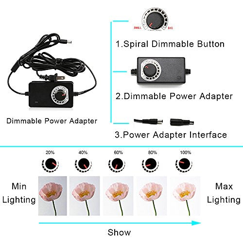 Light Box Photography LED Photo Studio Large Lightbox Professional 47x39x78 inch Dimmable Video Continuous Lighting Cube Shooting Tent Kit for Product Photography with Blue/White/Black PVC Backgrounds - size: 47x39x78 INCH
