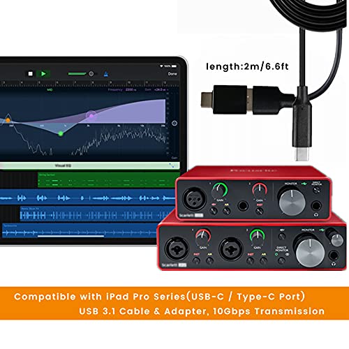weishan Type C to USB Cable Compatible with Focusrite Scarlett Solo(3rd Gen), Scarlett 2i2(3rd Gen) USB Audio Interface, with USB C Male to USB Female Adapter, 6.6 ft - style: Glossy