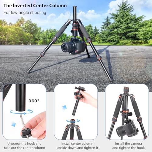 Koolehaoda Mini Tabletop Tripod with 360° Ball Head, Aluminum Portable | Compact Lightweight Desktop Camera Tripod Stand with Quick Release Plate, Adjustable Height for DSLR Video Camcorder Phone