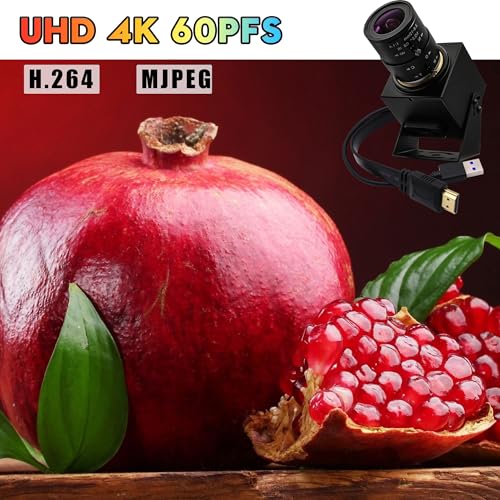 SVPRO 4K 60fps Streaming Camera with 4X Optical Zoom & Manual Focus, HDMI/USB 3.0 Webcam for PC/Mac - Live Broadcast/OBS/Monitoring, 2.8-12mm CS Mount Lens - color: Camera with 2.8-12mm Lens