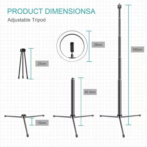 10" Selfie Ring Light with 10" Stand and 60" Selfie Stick, 3 Color Light Adjustment Suitable for Phones and Cameras, Makeup/Live Streaming/Taking Photos