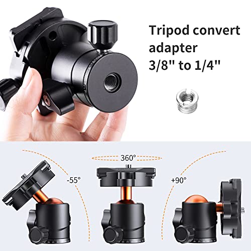 K&F Concept 25mm Metal Tripod Ball Head 360 Degree Rotating Panoramic with 1/4 inch Quick Release Plate Bubble Level for Tripod Monopod Slider Camera Camcorder up to 18 pounds/8 kilograms BH-25 - size: 8 kg Capacity