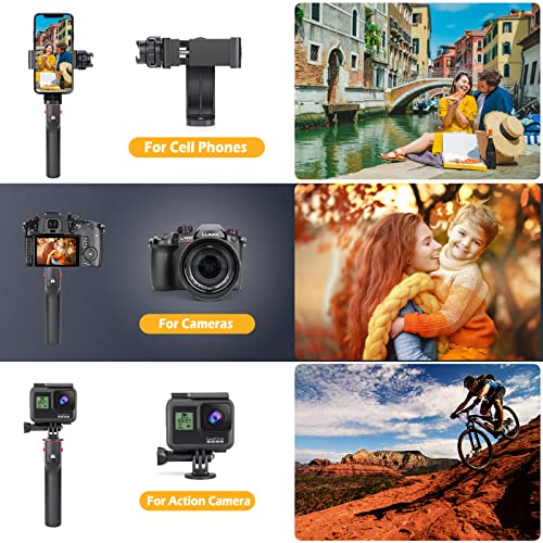 Zeadio Smartphone Video Rig, Phone Stabilizer Grip with a Detachable Side Handle, Universal Video Recording Cage, Compatible with All Smartphones for Vlogging Filmmaking Live Streaming - style: Basic Version