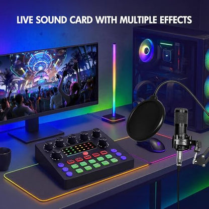 ALSO GO Podcast Equipment Bundle, Podcast Microphone Bundle with BM-800 Microphone & V8s Sound Card, Recording Studio Equipment for Singing, Gaming, Live Streaming and YouTube Tiktok - size: 1*BM800 Microphone