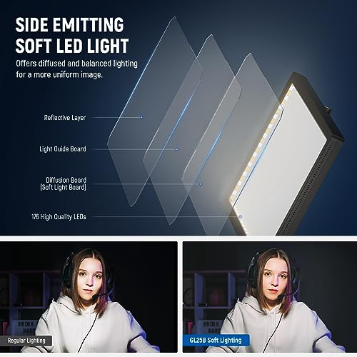 NEEWER 25W 12.9" Streaming Key Light with Desk Stand/2.4G Remote/USB Transmitter, PC/Mac APP Control 2300Lx/0.5m 2900-7000K CRI98+ Dimmable Edge Lit Video Panel Light for Webcam Laptop Zoom, GL25B