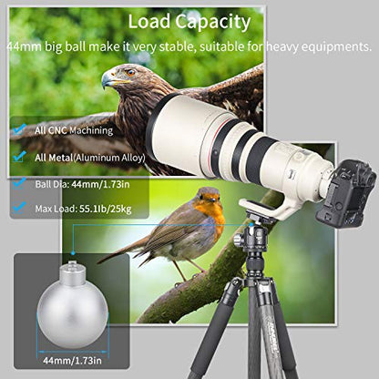 Low Profile Tripod Ball Head-INNOREL N44,Panoramic CNC Metal Camera Tripod Ball Head with Two 1/4" Screw Arca Swiss Quick Release Plates for Tripod,Monopod,DSLR,Camcorder,Max Load 55lbs/25kg - size: N44-Sliver