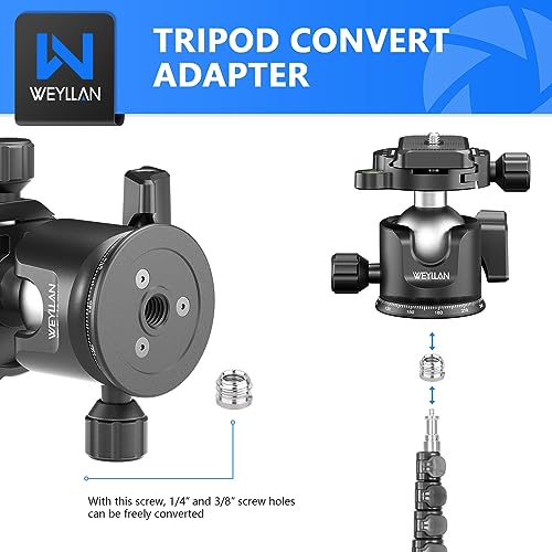 WEYLLAN Low Profile Ball Head - 36mm Metal Panoramic Camera Mount With Arca 1/4'' Quick Release Plate for Tripod Monopod - Max Load 33lbs/15kg