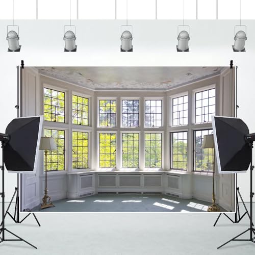 15x10ft Big Bright Window Backdrop Window Garden Zoom Room Background for Wall Zoom Living Room Office Backdrop for Video Conference Background for Video Recording - size: 15x10ft