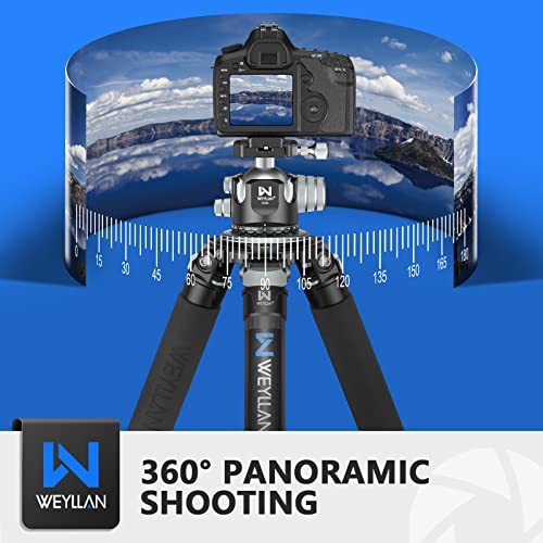 Low Profile Ball Head 55mm Tripod Ball Head Panoramic Tripod Head, CNC All Metal Tripod Camera Head for Tripods, WEYLLAN CH55 with Mlok Rail Arca Swiss Quick Release Plate, Max Load 88lbs/40kg - size: 55mm