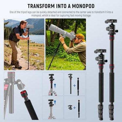 NEEWER Basics Camera Tripod Monopod, 71" Aluminum Heavy Duty Portable Travel DSLR Cell Phone Stand with 360° Ball Head Cellphone Holder Mount Compatible with iPhone for Filming Video Recording, TP15 - style: TP15 w/Ball Head