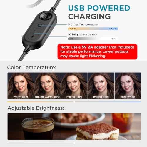 InnoGear 60 LED Ring Light with Stand for Computer Selfie Video Conference | video conference lighting, on camera video light, adjustable, 5 colors, 10 brightness levels, flexible positioning