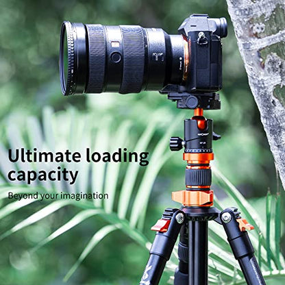 K&F Concept 25mm Metal Tripod Ball Head 360 Degree Rotating Panoramic with 1/4 inch Quick Release Plate Bubble Level for Tripod Monopod Slider Camera Camcorder up to 18 pounds/8 kilograms BH-25 - size: 8 kg Capacity