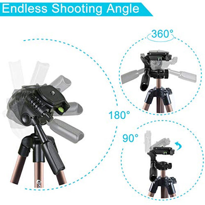 Endurax 60'' Tripod for Camera Canon Nikon DSLR, Camera Phone Tripod with Universal Holder, Carry Bag, Max. Load 6.6 lbs - style: With Quick Release Plate-Bronze