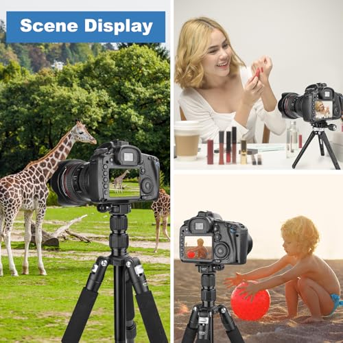 Mini Fish Bone Style Quick Release Clamp - Arca Clamp with 3/8"-1/4" Screw Adapter for Tripod Ball Head Compatible with Arca Swiss Plate