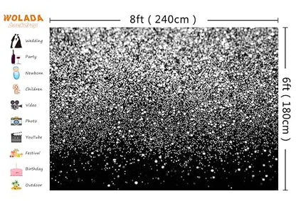 Black and Silver Backdrop Silver Glitter Backdrop for Photography Wedding Birthday Baby Shower Party Photo Studio 8x6FT FW18 - color: Silver, size: 8x6FT