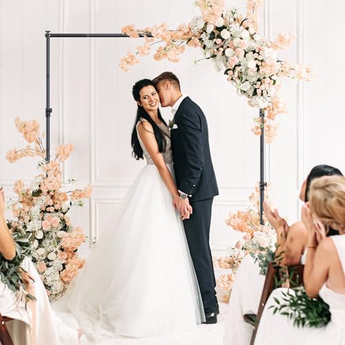 Backdrop Stand 10×8ft (W×H) Adjustable Backdrop Support Ground Kit Photography Photo Shoot Backdrop Stand for Parties with Sandbags, Spring Clips, Carrying Bag