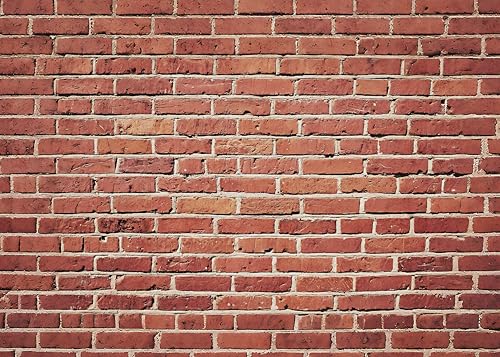 10x6.5 Ft Brick Wall Backdrop，Large Polyester Fabric Red Brick Backdrop Photo Backdrops Background for Halloween Party Christmas Halloween Decoration Photo Booth Prop Banner - color: Red brick backdrop, size: 10x6.5ft