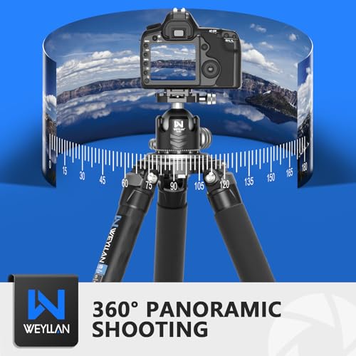 Low Profile Ball Head 52mm Tripod Head WEYLLAN DH52 Camera Head Mount, CNC Heavy Duty Ball Head with Two 1/4" Quick Release Plates, Panoramic Ballhead for Tripod, Monopod, DSLR, Max Load 66lbs /30kg - size: 52mm