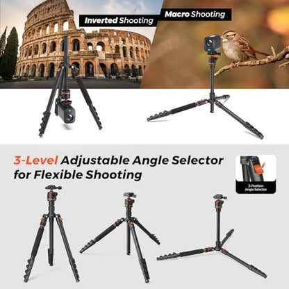 NearStream VM20 Wired Streaming Camera with Adjustable Tripod, 40X Hybrid Zoom USB/HDMI/RJ45 Live Stream Camera for YouTube, Zoom, OBS, Podcast, Video Conferencing