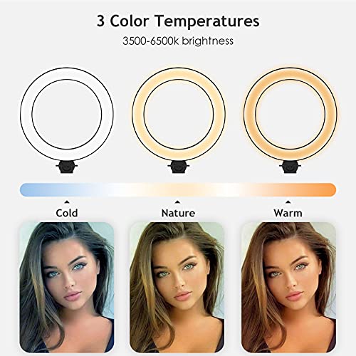SupeDesk Selfie Ring Light Phone Tablet Stand, 8" LED, 3-in-1, Overhead Phone Stand, Compatible with 4.5-13" Phone&Tablet, Adjustable Long Arm, YouTube/Tiktok Video, Zoom, Live Stream