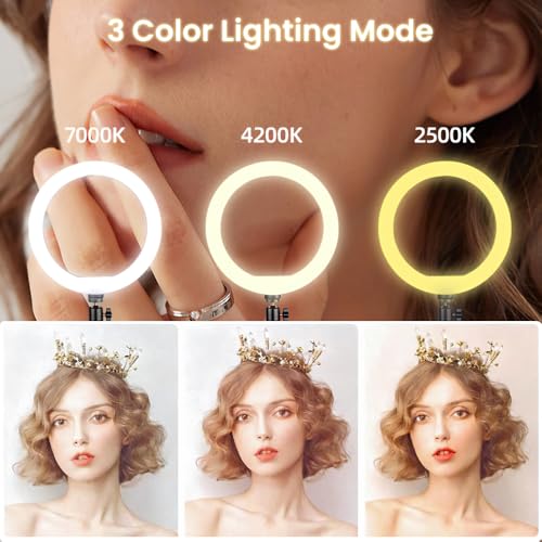 HomeBeyond 10" Selfie Ring Light with Tripod & Phone Holder – Dimmable LED Circle Light for Live Streaming, Makeup, YouTube & TikTok, Compatible with iOS/Android Phones, Black