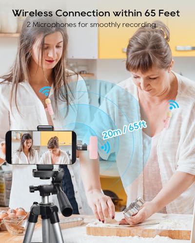 USB C Phone Microphone for iphone Android Tablet ipad PC Wireless Lavalier Mini Mic for Content Creator Video Recording Vlogging Youtube Tiktok Podcast Interview Usbc Microphones Small Mics Pink