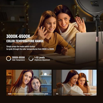 NEEWER Basics 10.5" Desk Ring Light with Stand/Phone Holder/Timer, 3000-6500K Full Screen 15W LED Selfie Panel Lighting for iPhone Recording Streaming Makeup Laptop Webcam Video Conference Zoom, R10