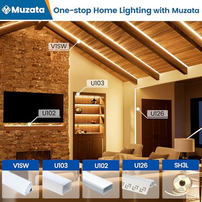 Muzata 10Pack 3.3FT/1M V Shape LED Channel Silver Aluminum LED Strip Diffuser Channel with Milky White Cover Frosted Corner Lighting Easy Installation V1SW WW 1M - size: 10P