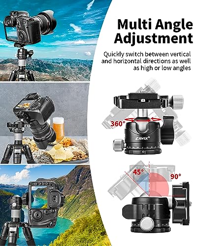 Low Profile Ball Head, CAVIX H-29S Camera Tripod Head Metal Ball Head with Arca Swiss Quick Release Plate Bubble Level Load Capacity 22 Lbs/10kg… - size: Ball Dia. 29mm