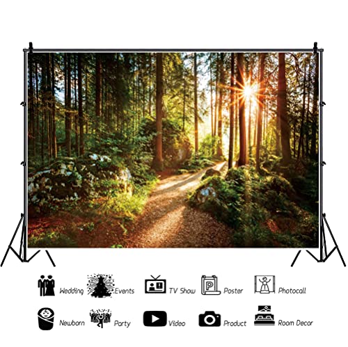 Yeele 10x8ft Jungle Forest Backdrop Natural Spring Scenery Sunshine Green Mountain Trees Background Outdoor Picnic Hiking Camping Picture Photoshoot Wedding Photography Background Photobooth Props