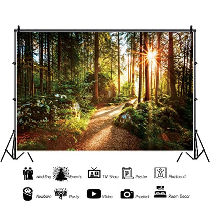 Yeele 10x8ft Jungle Forest Backdrop Natural Spring Scenery Sunshine Green Mountain Trees Background Outdoor Picnic Hiking Camping Picture Photoshoot Wedding Photography Background Photobooth Props