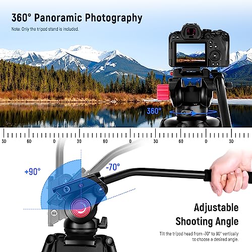 NEEWER 79"/200cm Video Tripod, Heavy Duty Aluminum Alloy Camera Tripod Stand with 360° Fluid Drag Head, QR Plate Compatible with Canon Nikon Sony and Other DSLR Camera Camcorder, Load Up to 17.6lb/8kg - style: TP-M200