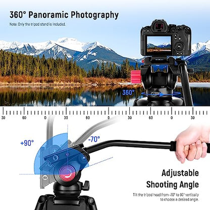 NEEWER 79"/200cm Video Tripod, Heavy Duty Aluminum Alloy Camera Tripod Stand with 360° Fluid Drag Head, QR Plate Compatible with Canon Nikon Sony and Other DSLR Camera Camcorder, Load Up to 17.6lb/8kg - style: TP-M200