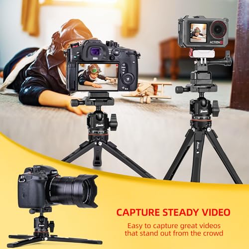 Zeadio 3-in-1 Heavy Duty Metal Tripod with Arca Ball Head Mount, Phone Holder & Action Cam Adapter, Universal Phone Vlogging Tripod Kit for Cell Phone, Camera, Gimbal, Action Cam, Travel Vlogging etc - style: With Arca Ball Head
