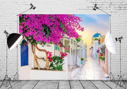 15x10ft Fabric Greece Backdrop for Photography Greek Island Whitewashed Blooming Flowers Alley Oia Street Background for Europe Themed Party Decor Birthday Wedding Photo Studio Props - size: 15x10FT