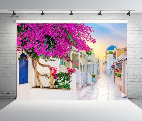 12x10ft Fabric Greece Backdrop for Photography Greek Island Whitewashed Blooming Flowers Alley Oia Street Background for Europe Themed Party Decor Birthday Wedding Photo Studio Props - size: 12x10FT