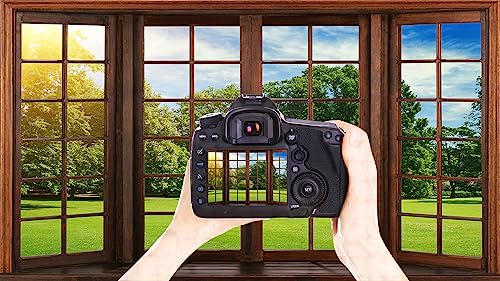 YYNXSY 7X5FT Office Backdrop with Window Background for Video Conference Photography Studio Backdrop Screen Vinyl Material for Holiday Party Birthday Party Room Decoration YY-1003 - size: 7X5FT