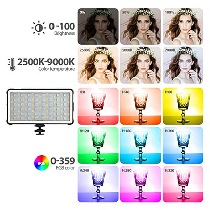 ENEGON RGB Video Light, Built-in 4000mAh Rechargeable Battery LED Camera Light Full Color 24 Common Light Effects, CRI≥95 2500-9000K LED Video Light Panel with Power Bank Function. - color: RGB Photo Fill Light