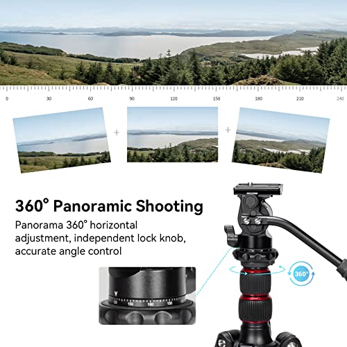 SmallRig Tripod Fluid Head Pan Tilt Head with Quick Release Plate for Arca Swiss for Compact Video Cameras and DSLR Cameras -3259B
